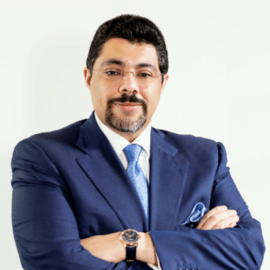 Prof. Dr. Mohamed S. Abdel Wahab